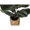 Monarch Specialties Artificial Plant 28" Tall Fiddle Tree, Indoor, Faux, Fake, Floor, Greenery, Potted, Real Touch I 9505 - alternate 2